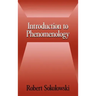 Introduction to Phenomenology
