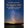 The Kosmic Web: Our spiritual and evolutionary place in the multiverse