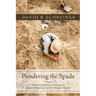 Pondering the Spade: Discussing Important Convergences Between Archaeology and Old Testament Studies