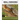Small Carnivores: Evolution, Ecology, Behaviour and Conservation