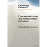 Conceptualization and Measurement of Culture