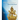 The Wish-Fulfilling Wheel: The Practice of White Tara