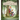 Hector Fox and the Giant Quest