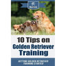 10 Tips on Golden Retriever Training: Getting Golden Retriever Training Started!