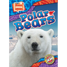 Polar Bears