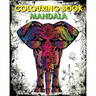 Colouring Book Mandala: Reduce Stress & Bring Balance (+100 Pages)