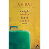 A Night with a Black Spider