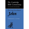 The Gospel According to John