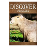 Capybara - Discover: Early reader's wildlife photography book
