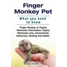 Finger Monkey Pet. WHAT YOU NEED TO KNOW. Finger Monkey or Pygmy Marmoset Information. Pygmy Marmoset care, environment, behaviour, feeding and health