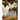 The Construction of Chicken Houses, Coops and Yards