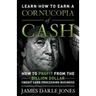 Cornucopia of Cash: How to Profit From The Billion Dollar Credit Card Processing Business