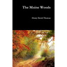 The Maine Woods