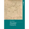 Flooded Canyon