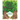 Meet the Trees