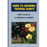 Guide To Growing Tropical Plants: How To Plan A Tropical Garden: Plant Types For Tropical Garden