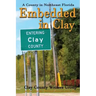 Embedded in Clay