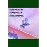 No Parents No Horses No Bedtime