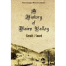 A History of Blairs Valley