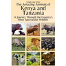 The Amazing Animals of Kenya and Tanzania: A Journey Through the Region's Most Spectacular Wildlife