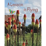 A Lesson in Flying