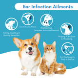 Ear Infection & Itch Relief Treatment for Dogs and Cats by BestLife4Pets