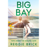 Big Bay Fate Under the Golden Gate