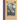 A Series of Unfortunate Events #2: The Reptile Room