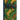 The Case for the Sea-Serpent