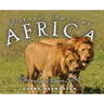 Wild and Amazing Africa: Journal of a Photo Safari