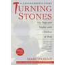 Turning Stones: My Days and Nights with Children at Risk a Caseworker's Story
