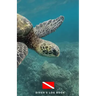 Diver's Log Book: scuba diving log book 100 dives