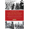 A History of Czechoslovakia Between the Wars: From Versailles to Hitler's Invasion