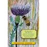 Dr. Jamoke's Little Book of Hitherto Uncompiled Facts and Curiosities about Bees