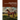 Historical Memories of American Saddlebred Visionaries