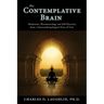 The Contemplative Brain: Meditation, Phenomenology and Self-Discovery from a Neuroanthropological Point of View