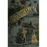 A Book about Bees - Their History, Habits, and Instincts