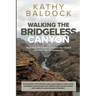 Walking the Bridgeless Canyon: Repairing the Breach between the Church and the LGBTQ Community