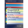 Perspectives in Meiobenthology: Reviews, Reflections and Conclusions