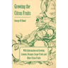 Growing the Citrus Fruits - With Information on Growing Lemons, Oranges, Grape Fruits and Other Citrus Fruits