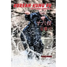 Korean Kung Fu: The Chinese Connection (Revised and Updated)
