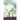An Acquaintance