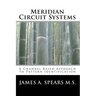 Meridian Circuit Systems: A Channel Based Approach to Pattern Identification