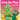 I Love You, Mom - Earth Ninja: A Rhyming Children's Book About the Love Between a Child and Their Mother