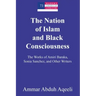 The Nation of Islam and Black Consciousness: The Works of Amiri Baraka, Sonia Sanchez, and Other Writers