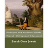 Strangers and wayfarers (1890). By: Sarah Orne Jewett: Novel (Original Classics)