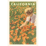 The Vintage Journal Woman sitting in Field of California Poppies