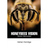 Honeybees Vision: Recent Discoveries
