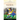 Fútbol