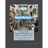 Study Guide Student Workbook for Girl in the Blue Coat: Black Student Workbooks